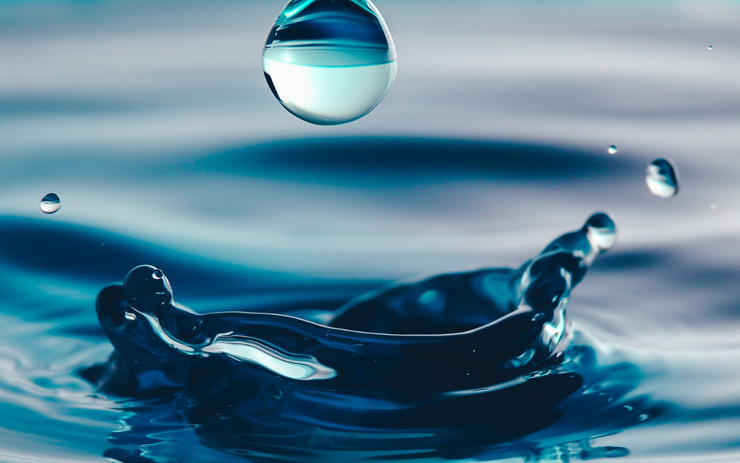 L’IFTS ET L’INNOVATION