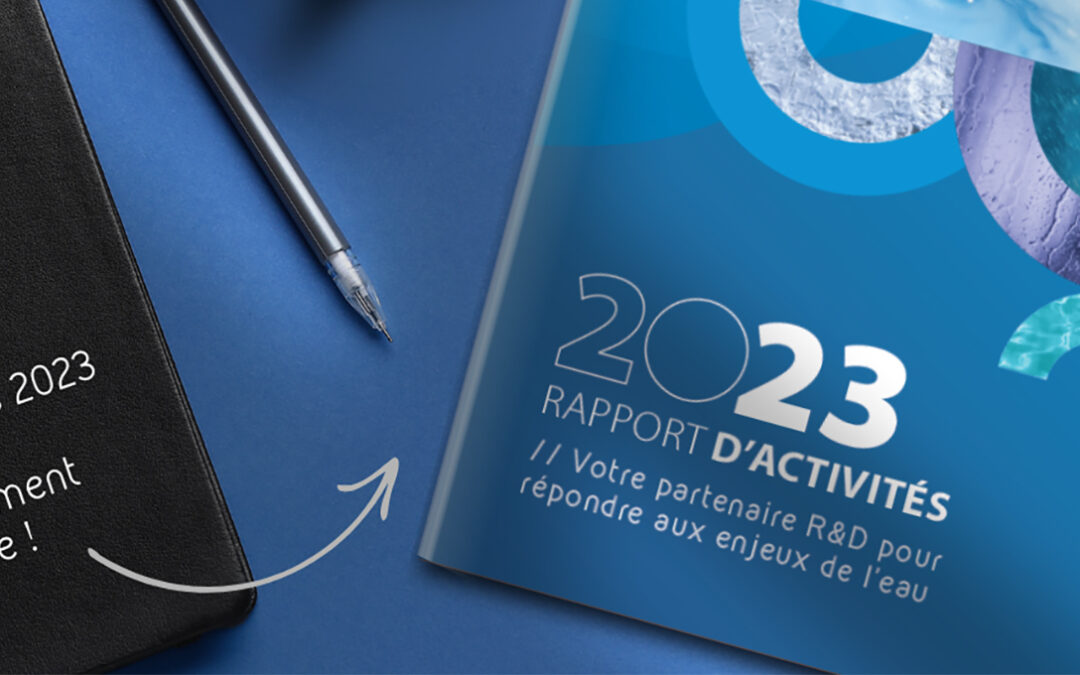 RAPPORT ACTIVITÉS CARNOT E&E