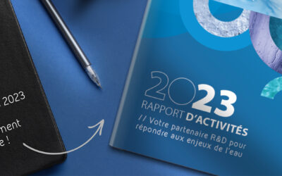 RAPPORT ACTIVITÉS CARNOT E&E